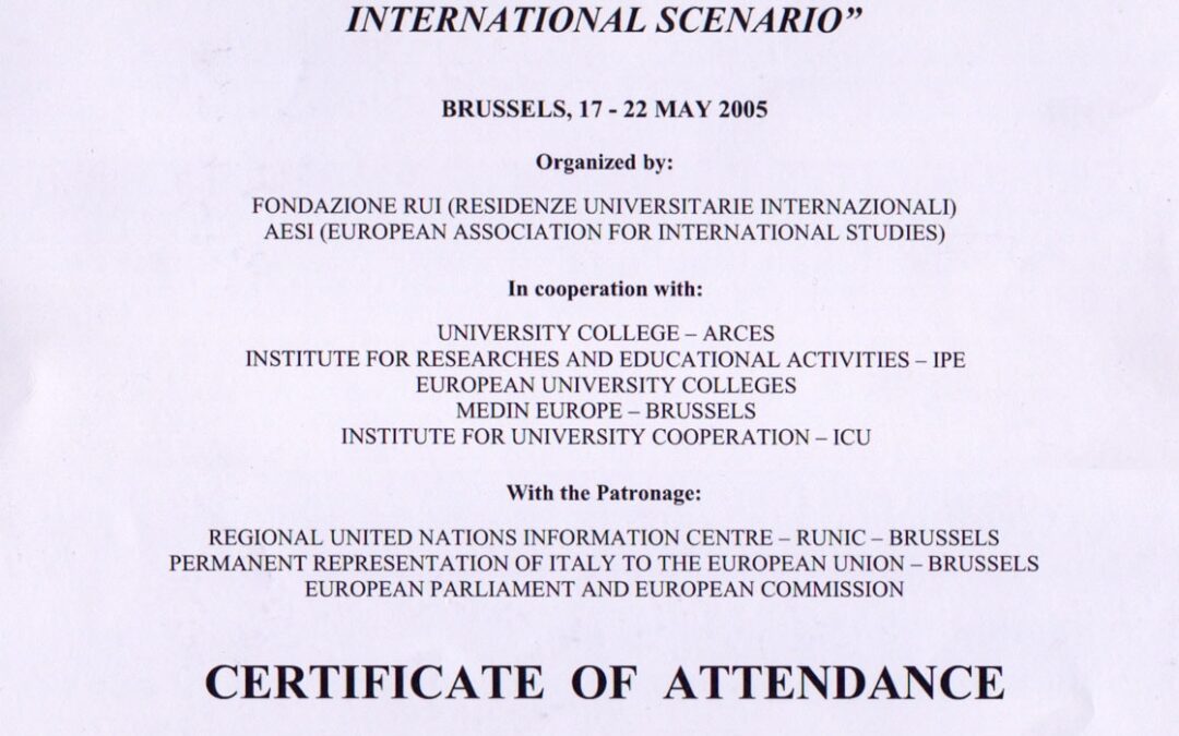 AESI Bruxelles 2005